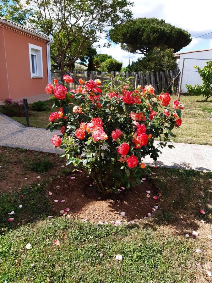 Appartement Independant A 10Min Des Plages Au Calme Proche O'Gliss Et O'Funparken Campagne La Jonchere Buitenkant foto